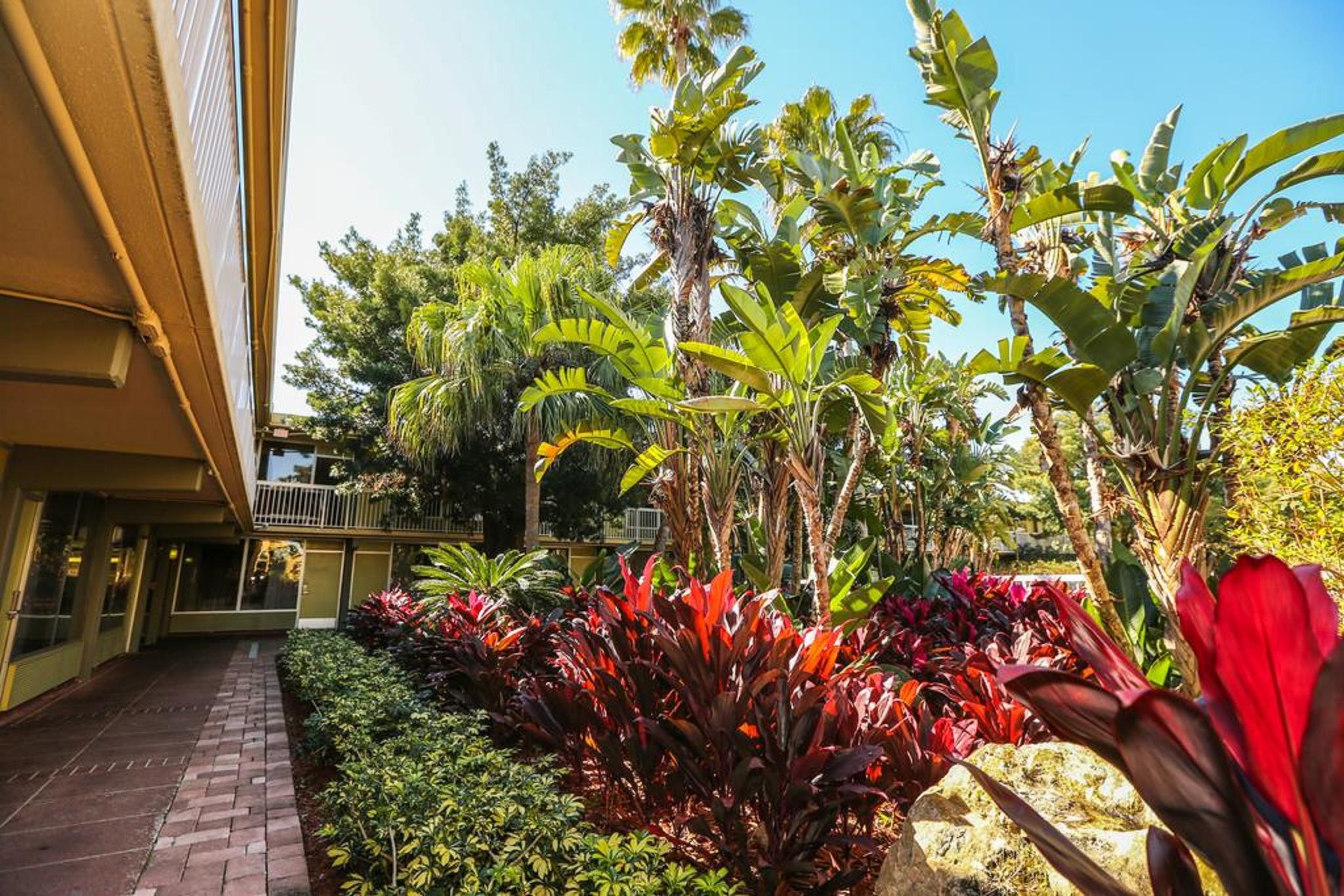 Quality Inn & Conference Center Tampa Bagian luar foto
